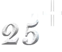 21+ years of experience in Website Designing 